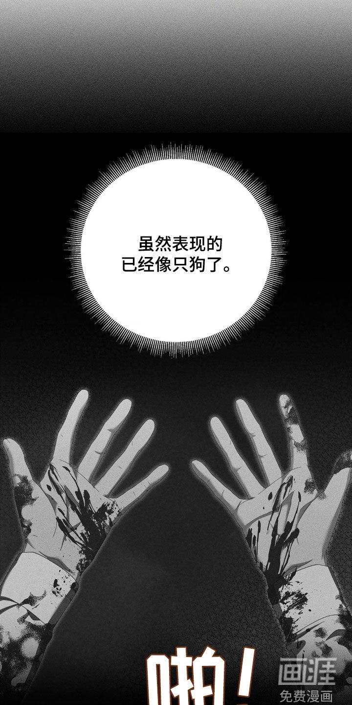 第20章：很期待