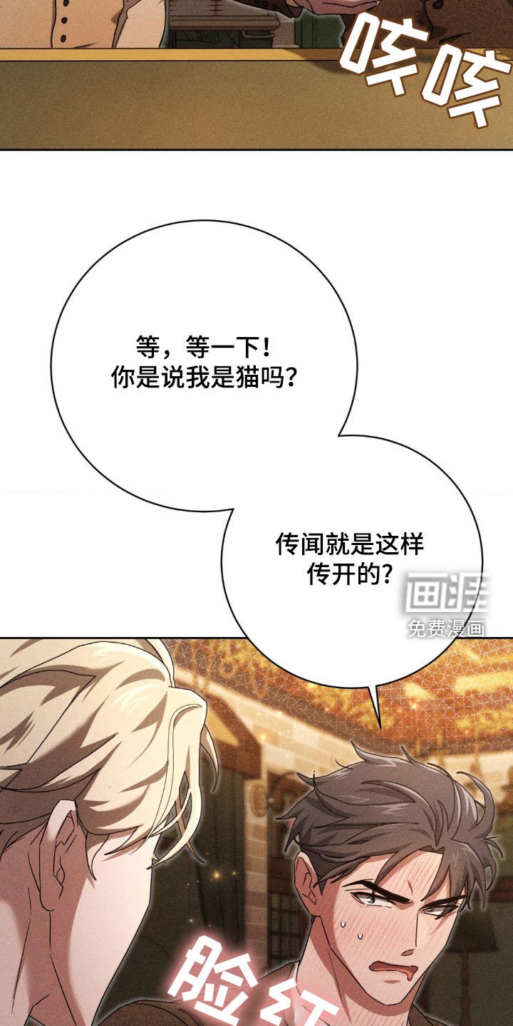 第25章：全面进攻