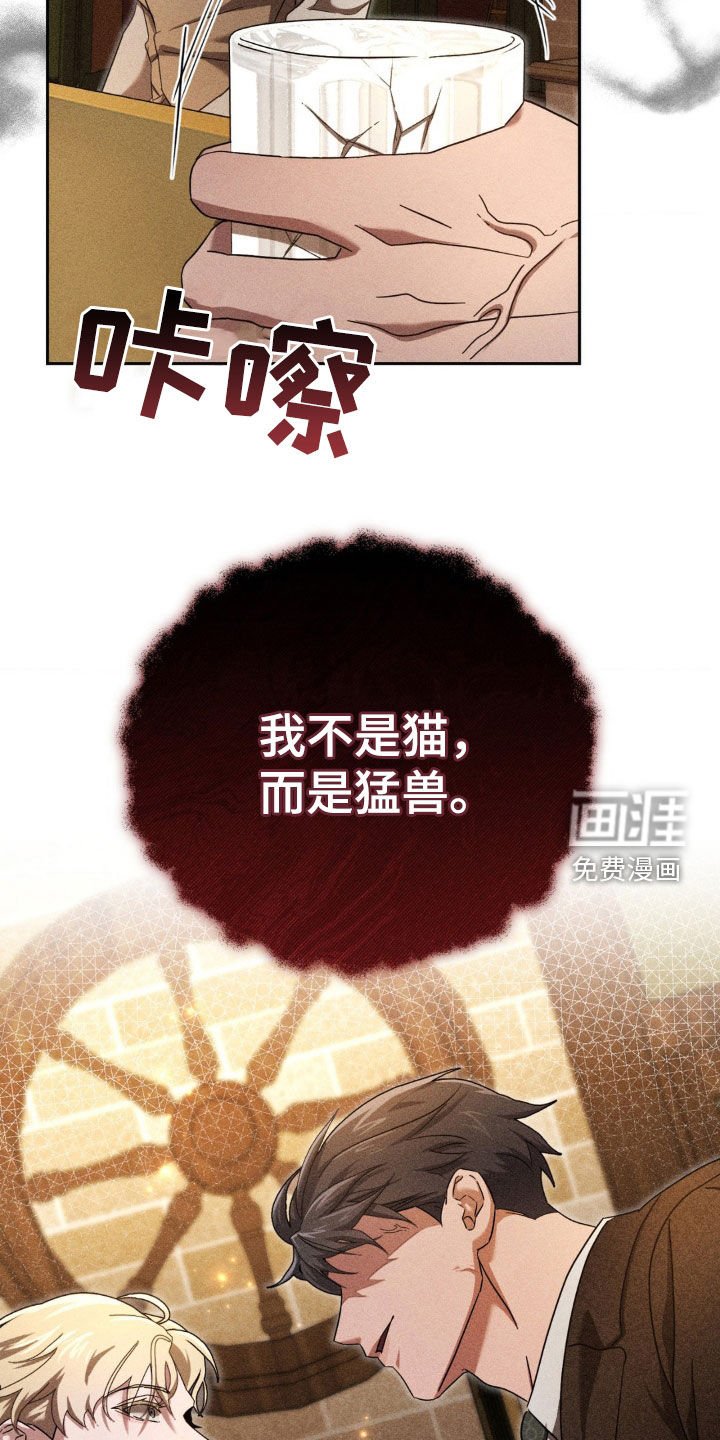 第25章：全面进攻