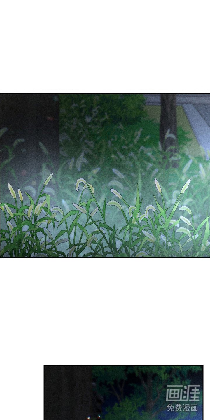 第3章： 初次接触