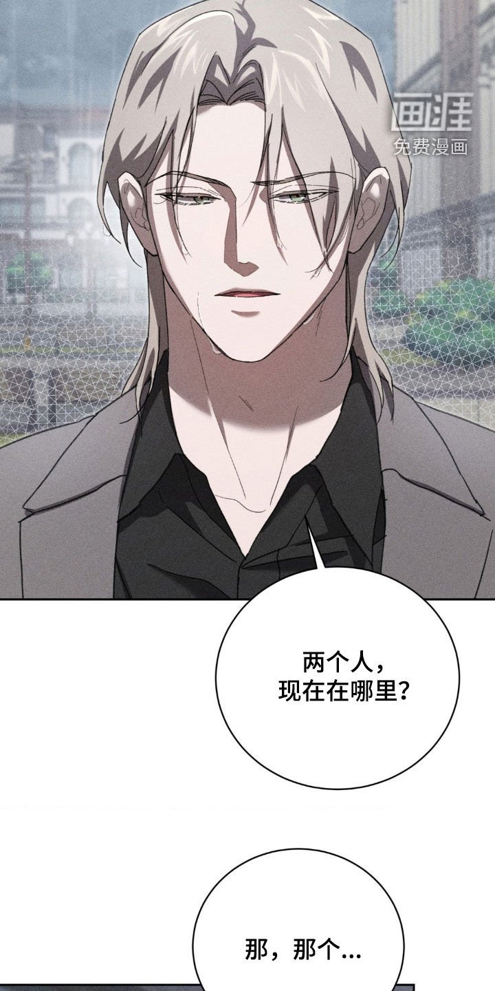 第33章：我会如实说的