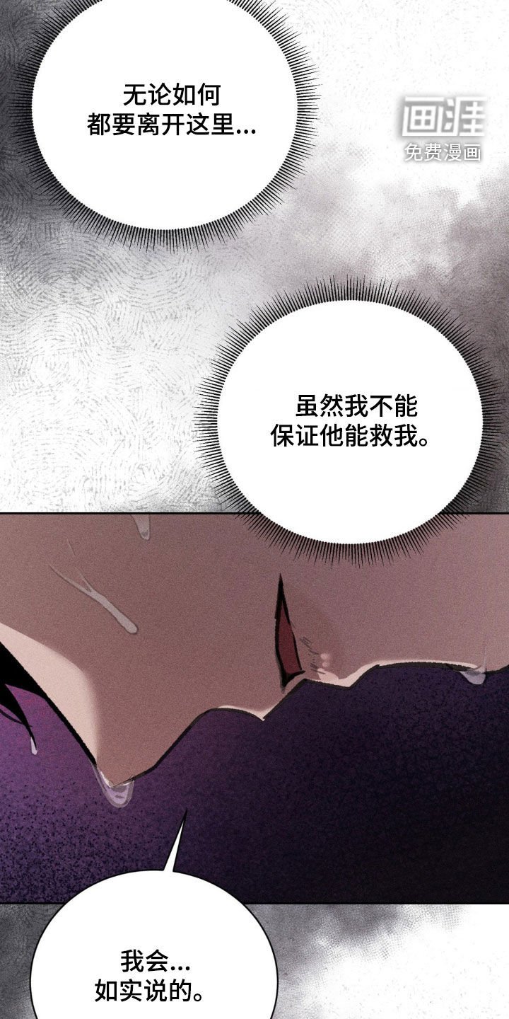 第33章：我会如实说的