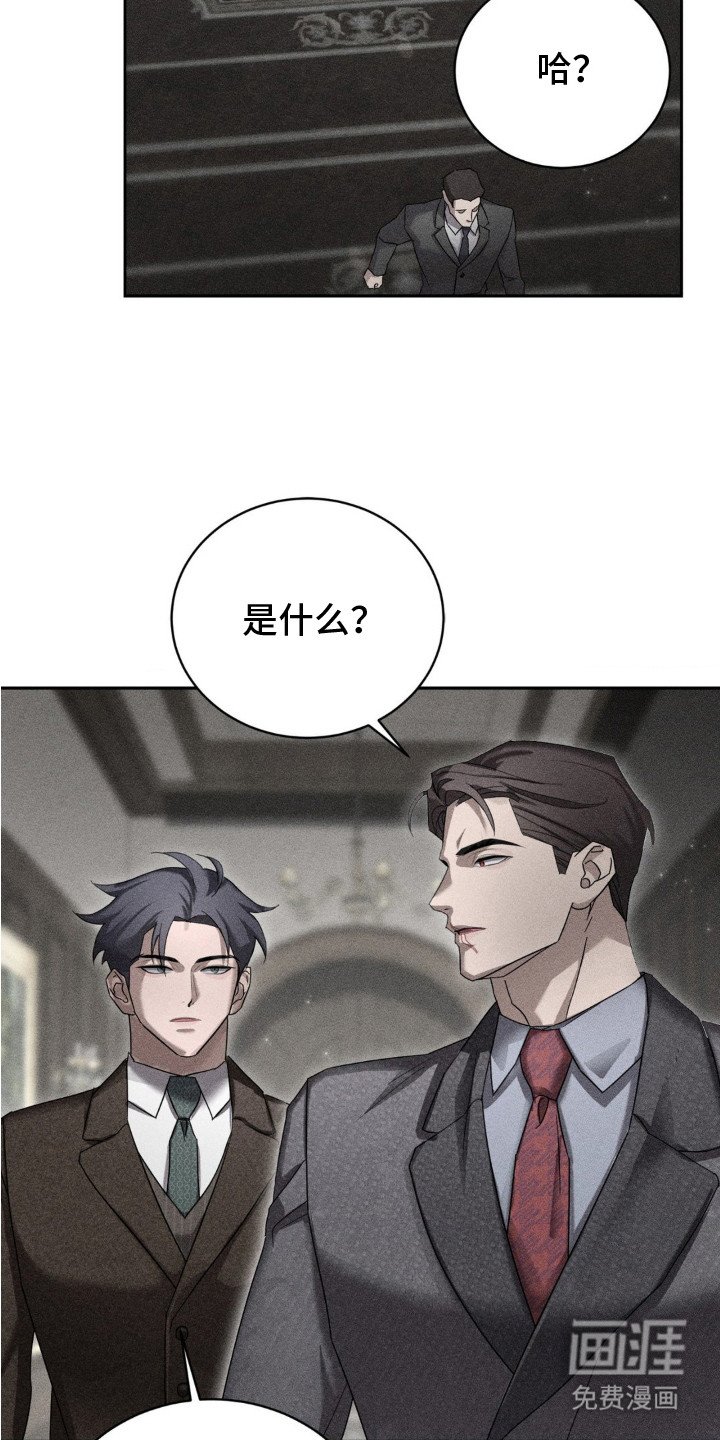 第5章：主动提议