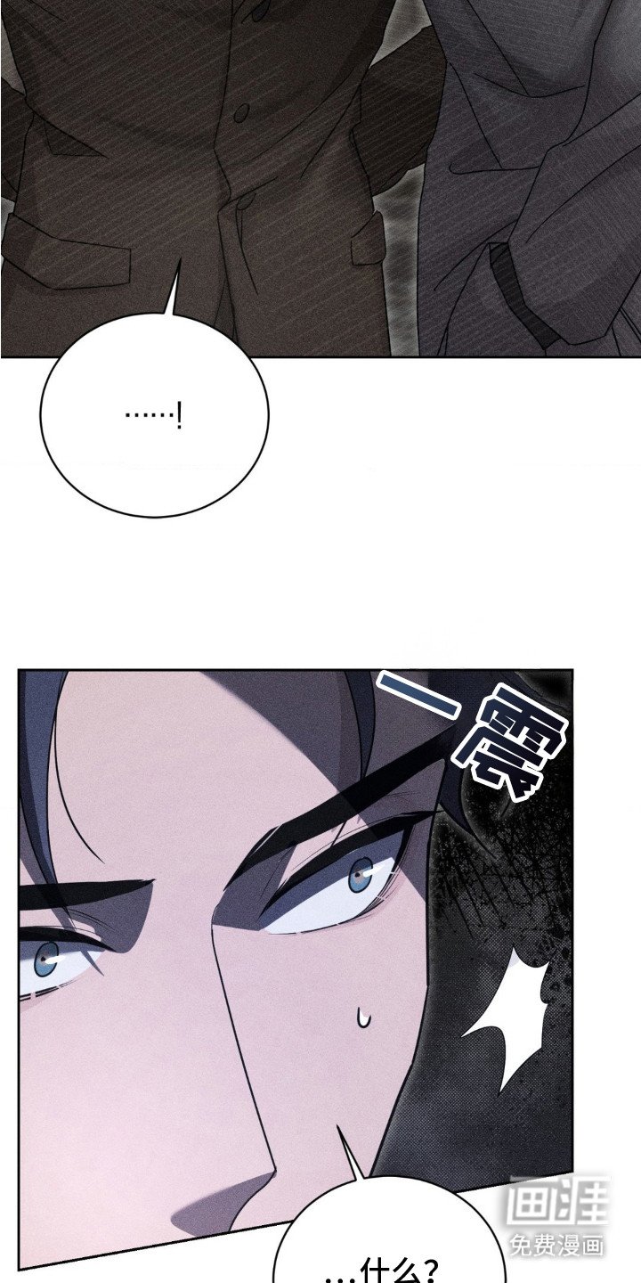 第5章：主动提议