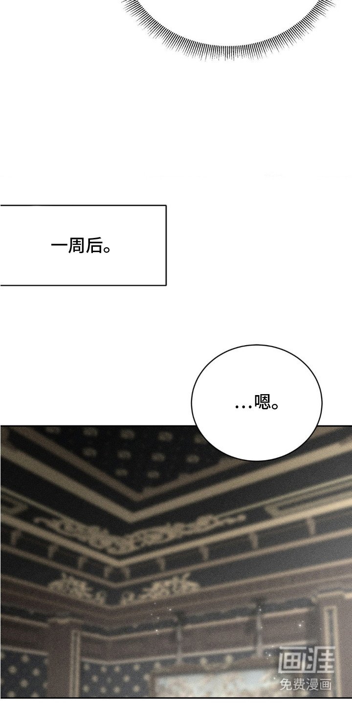 第5章：主动提议