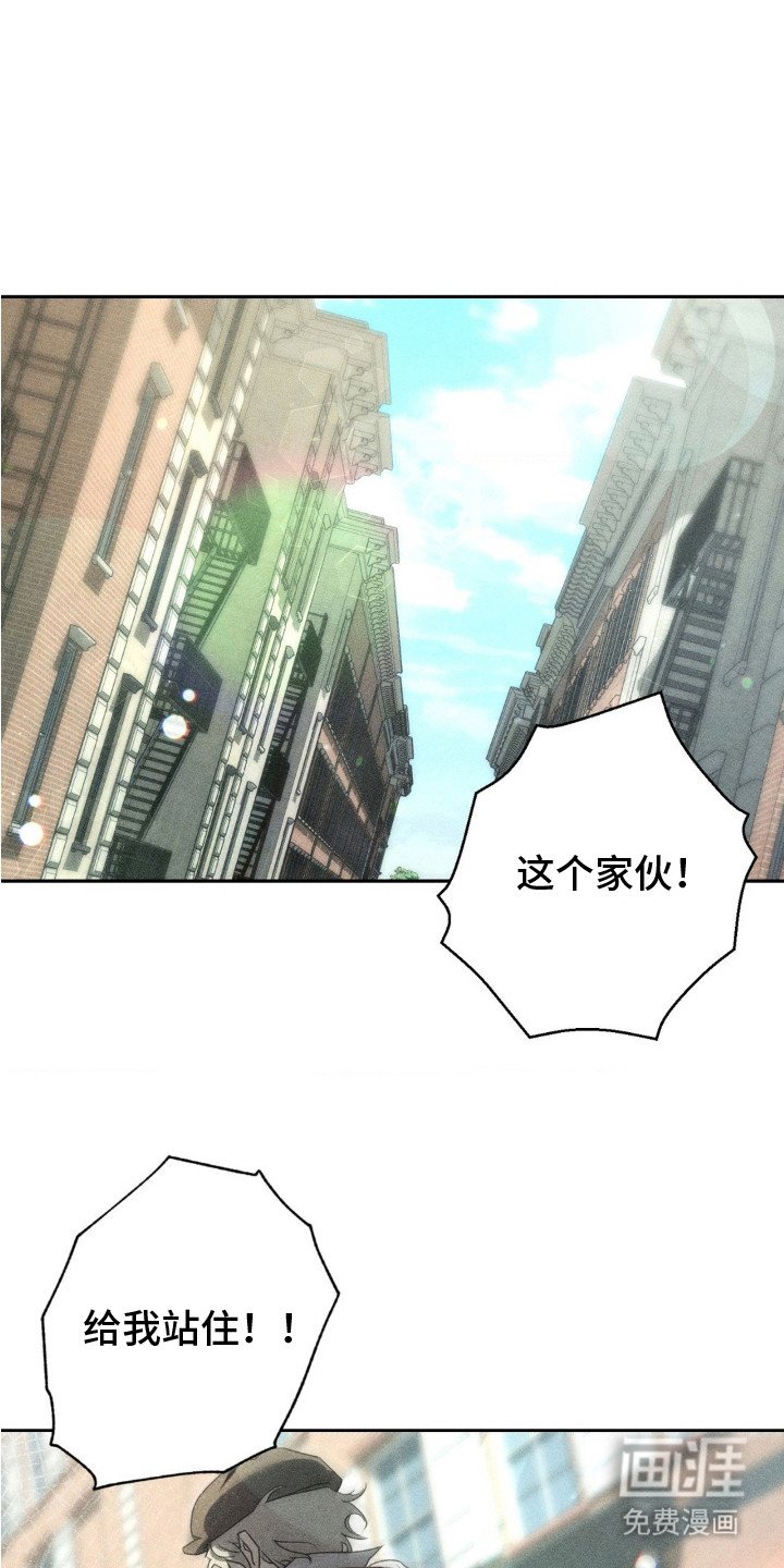 第7章：收留