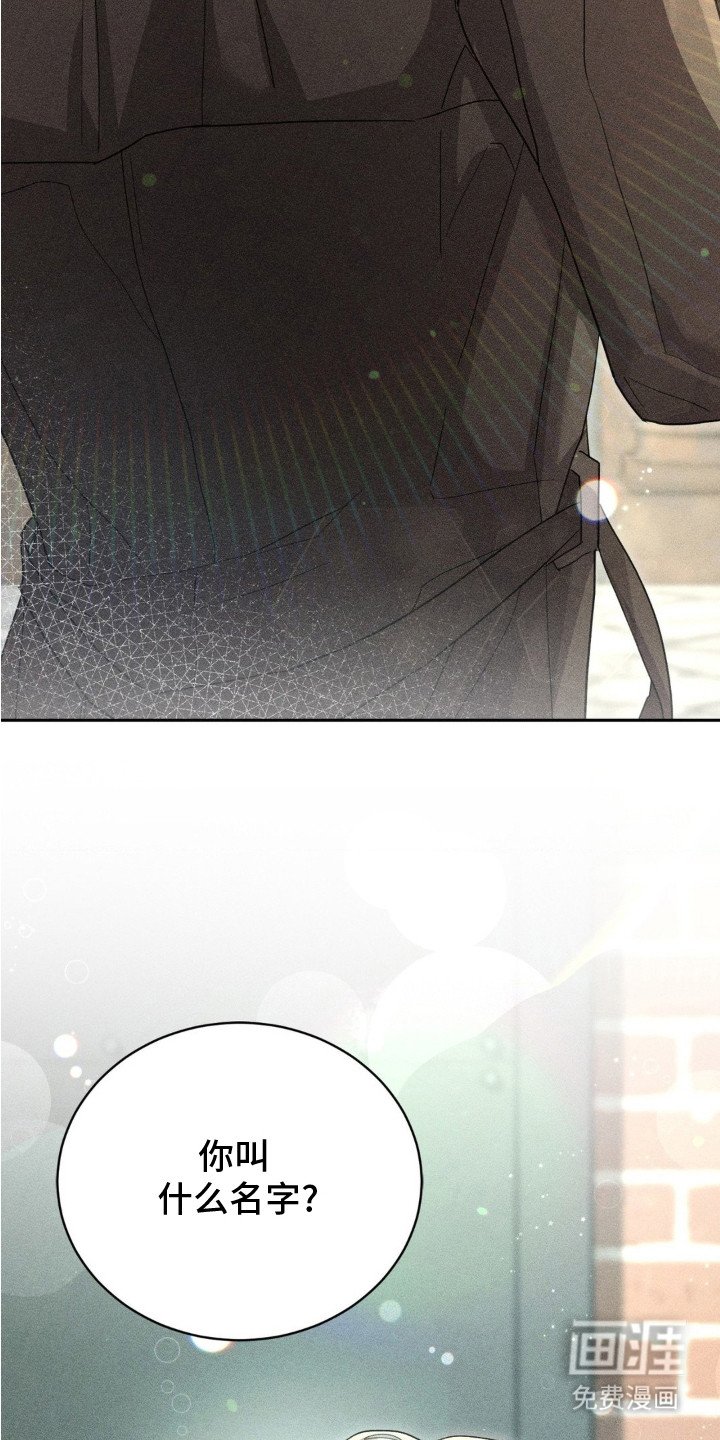 第7章：收留