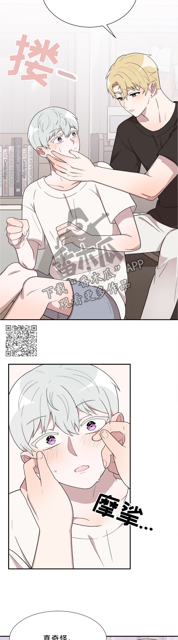 第29章：不同的对待