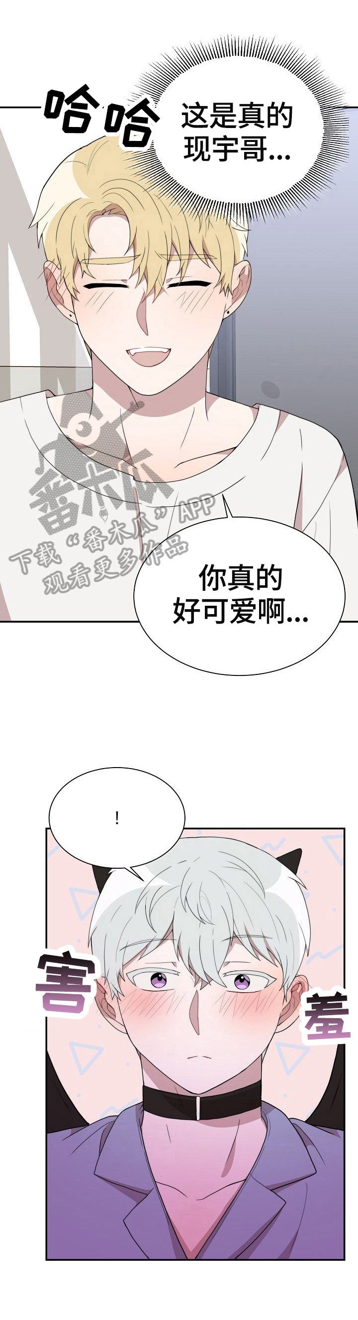第36章：选定