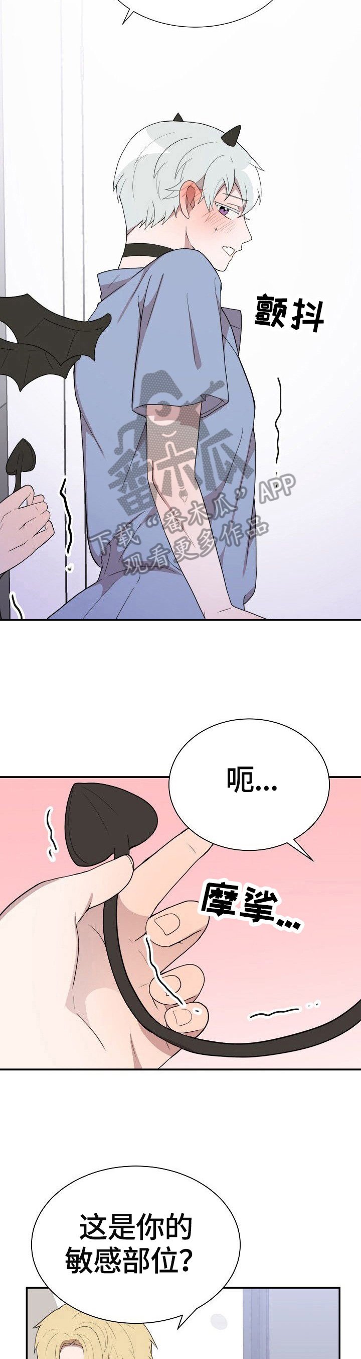 第36章：选定