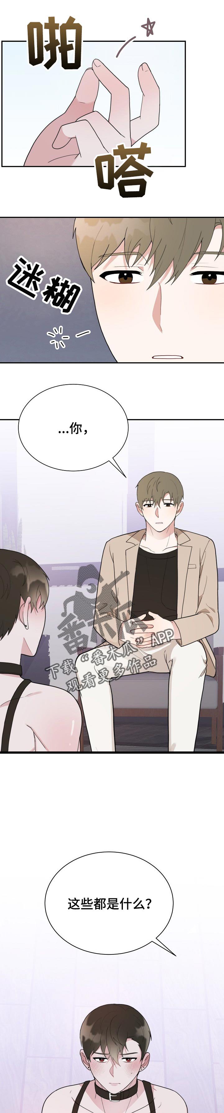 第53章：都是什么呀