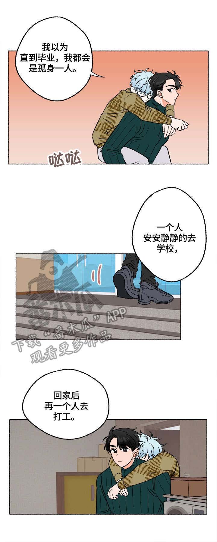 第8章：陪伴