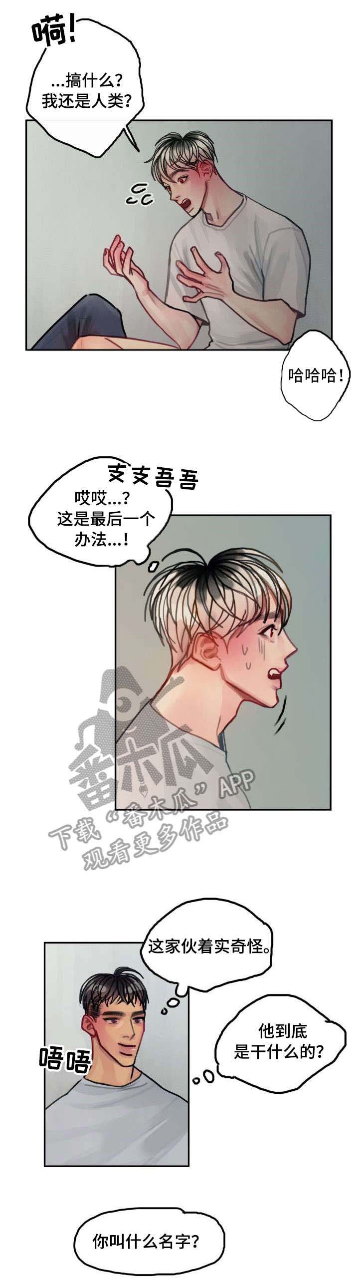 第13章：回家