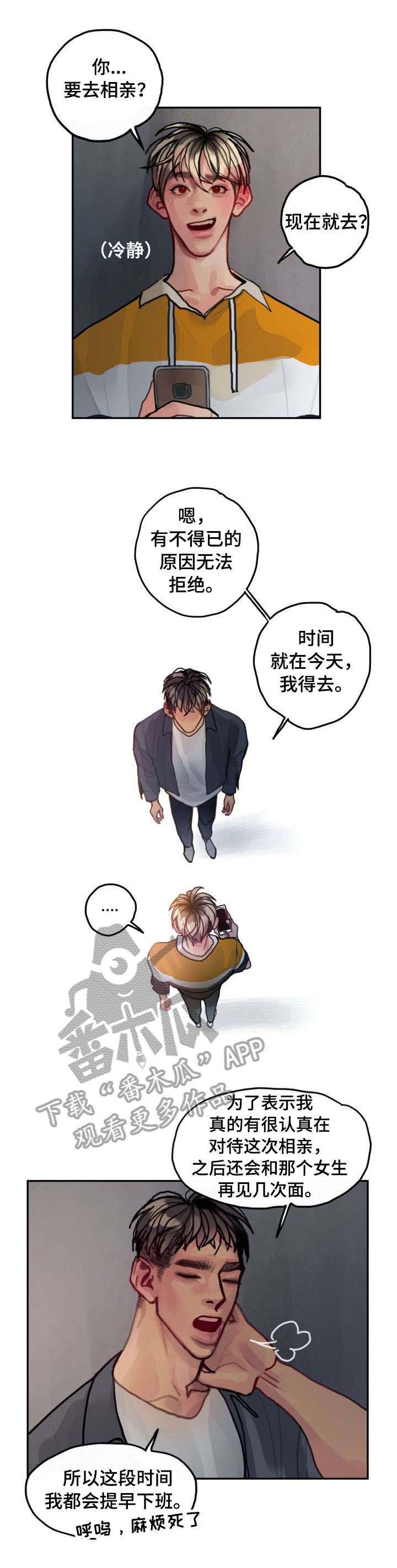 第19章：相亲