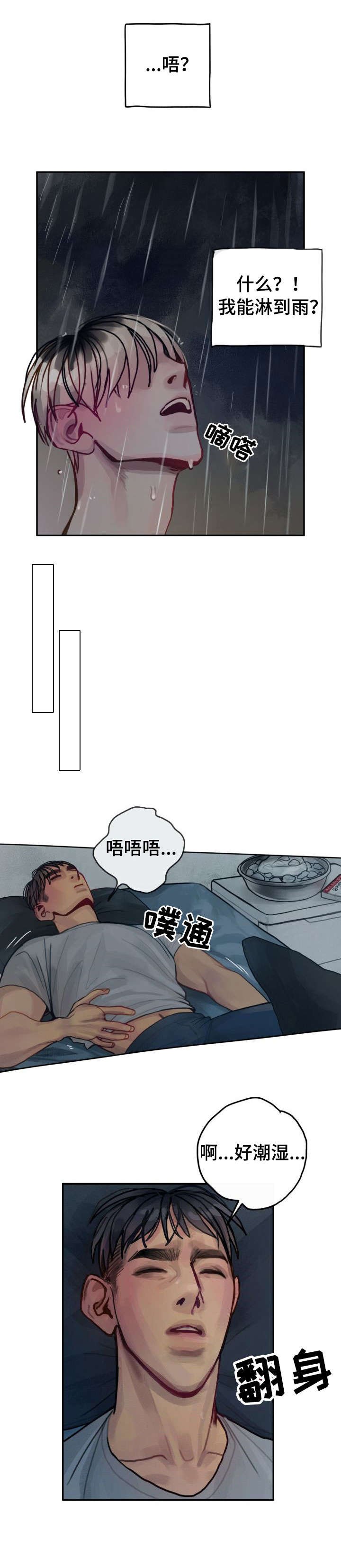 第29章：礼物