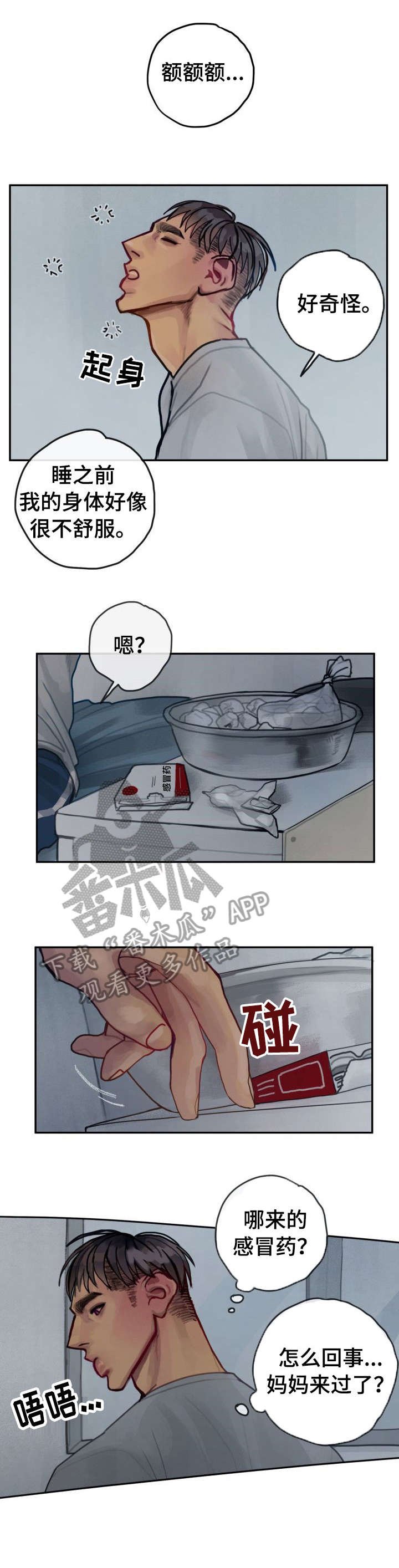 第29章：礼物