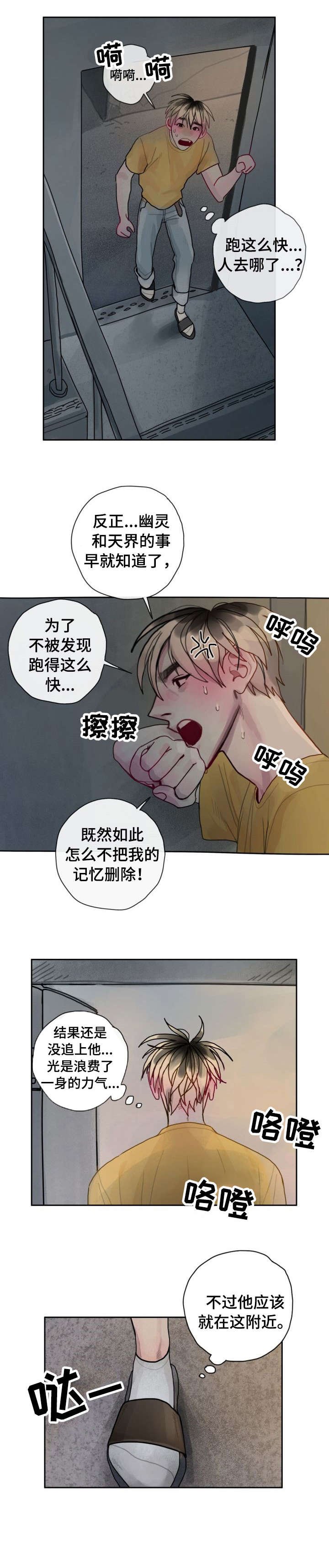 第33章：傻瓜
