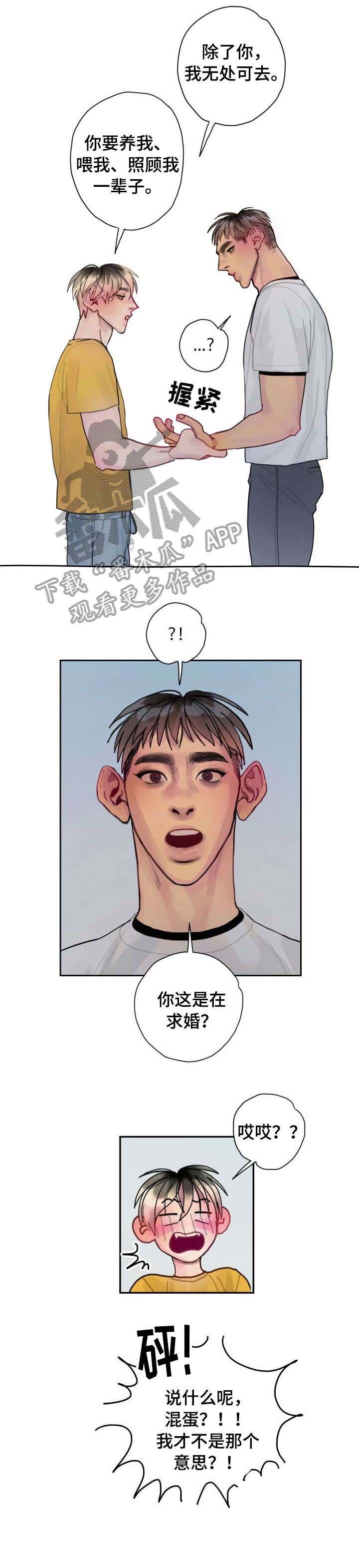 第34章：相同