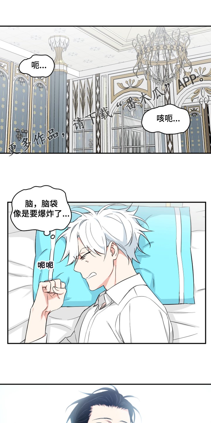 第106章：【番外】什么感情？
