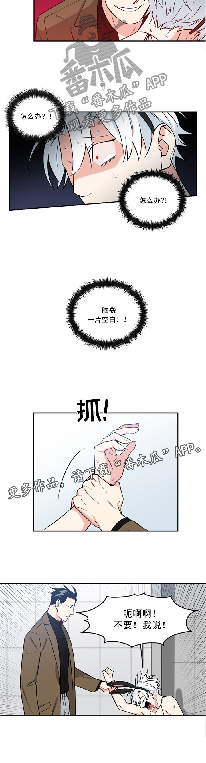第18章：大脑 一片空白