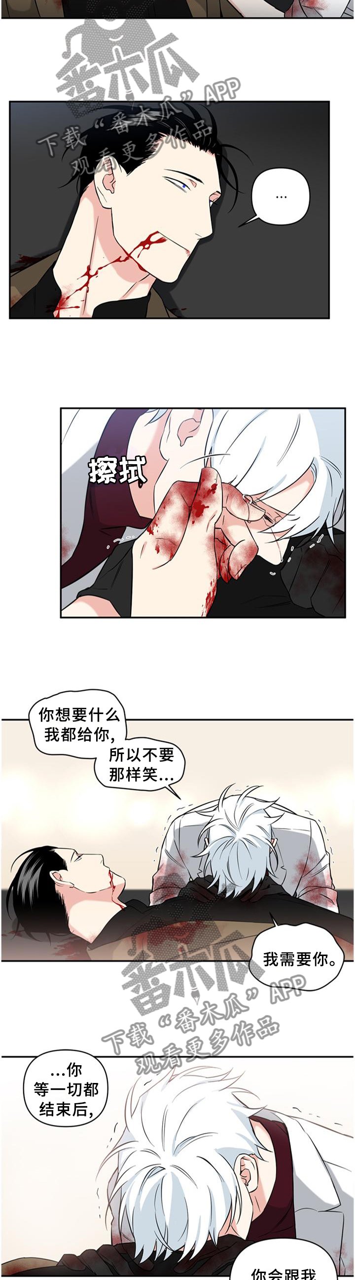 第53章：遗言