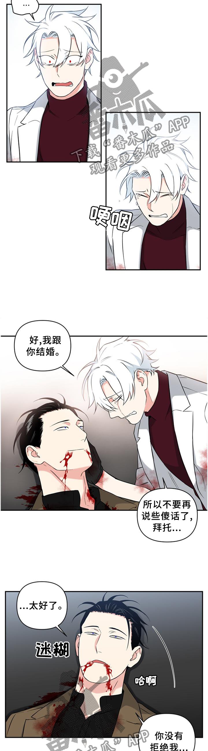 第53章：遗言