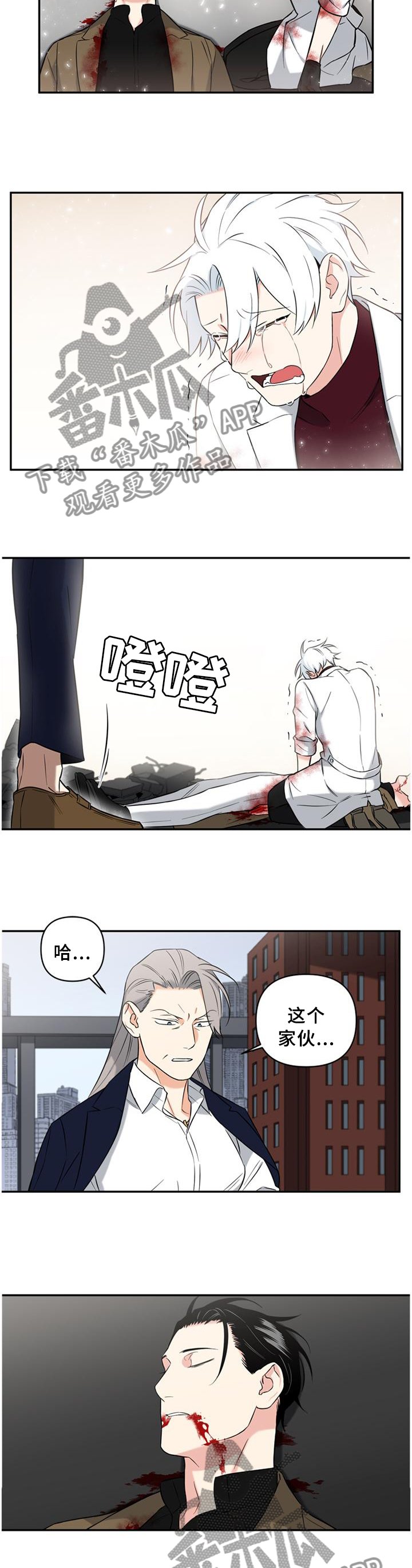 第53章：遗言
