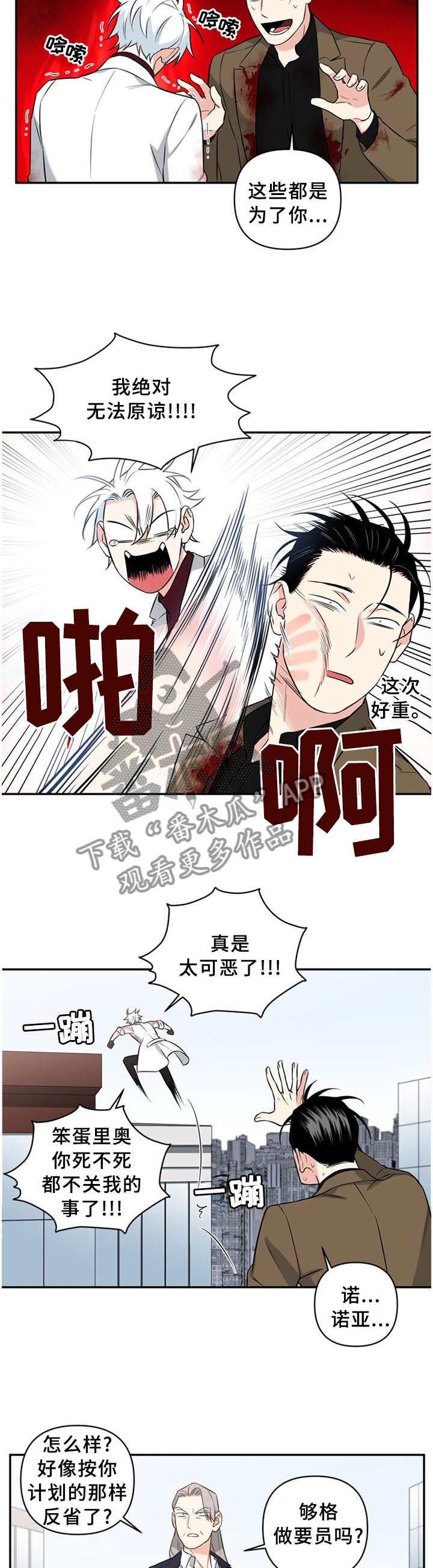 第55章：计划