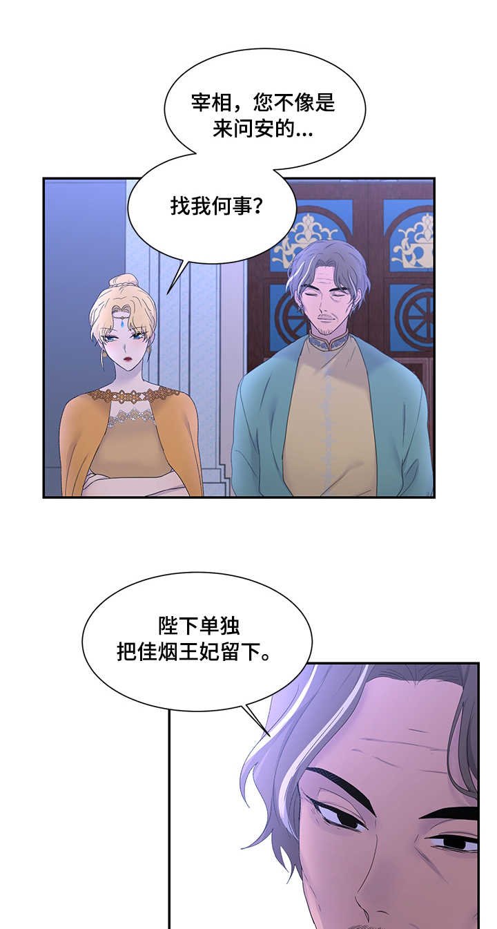 第19章：雪花叶