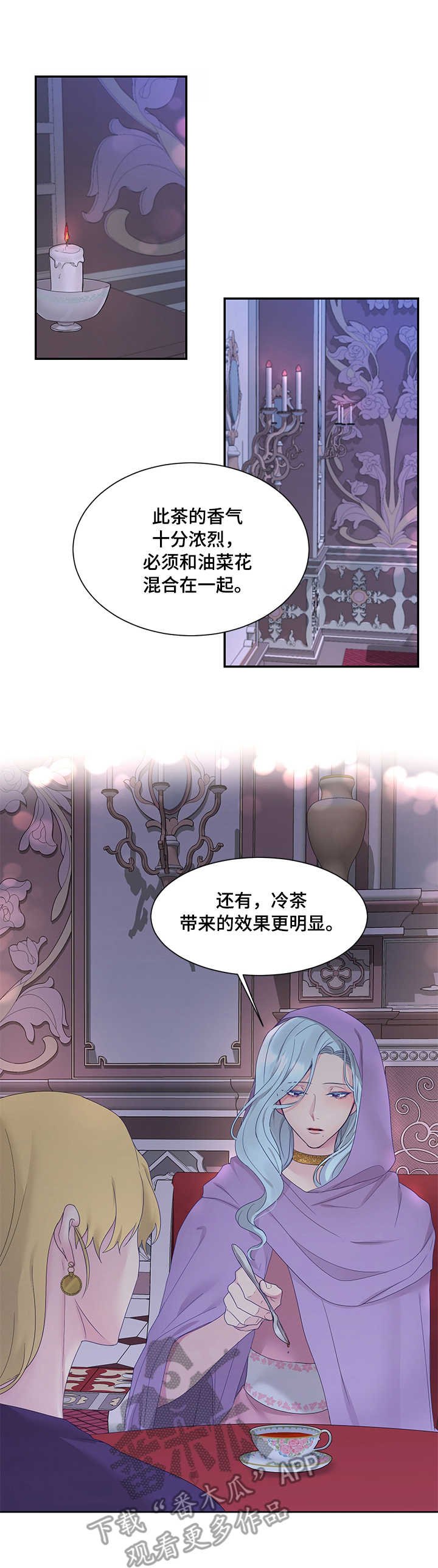 第19章：雪花叶