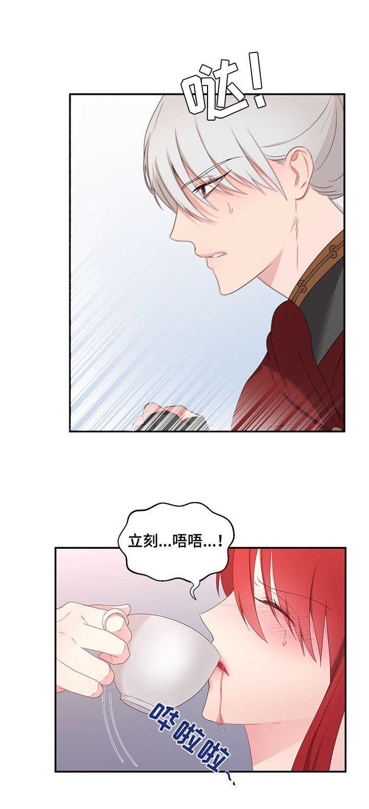 第21章：茶话会