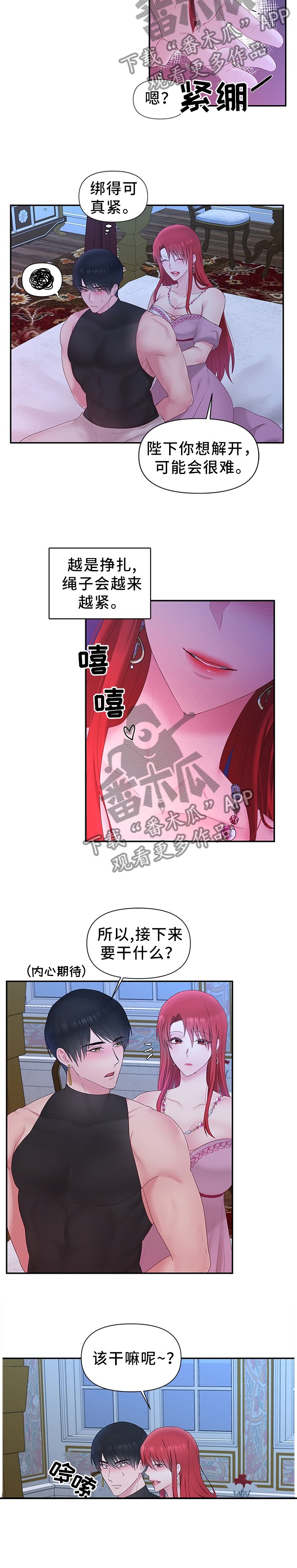 第44章：下一步的计划