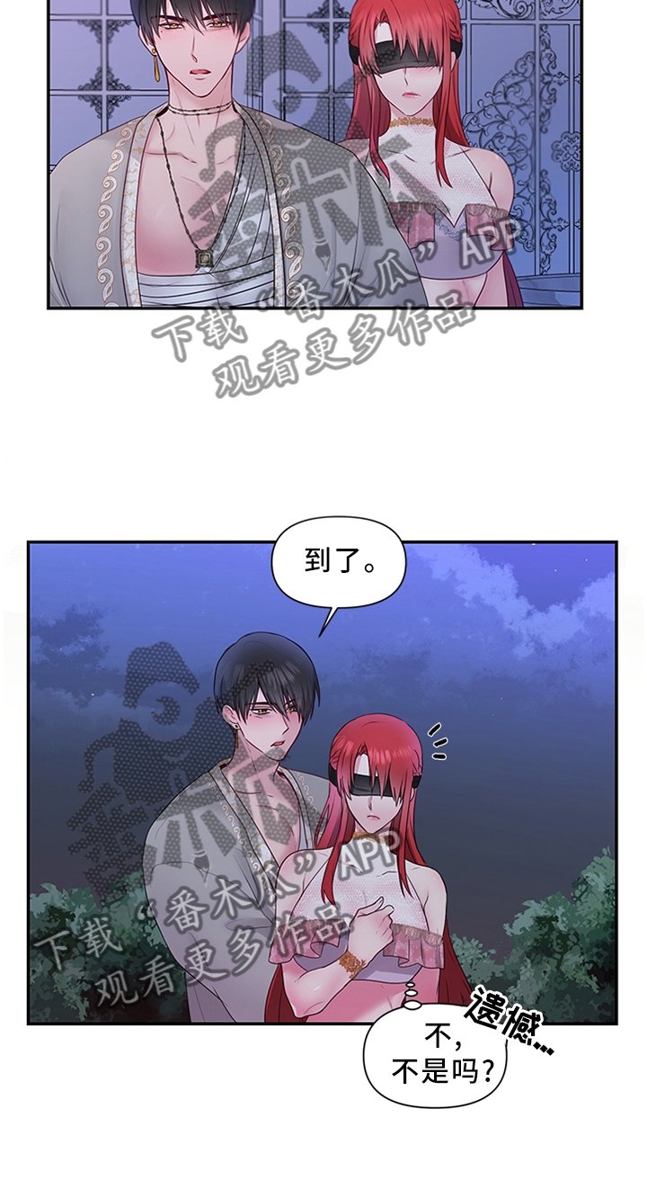 第57章：女王花(完结)