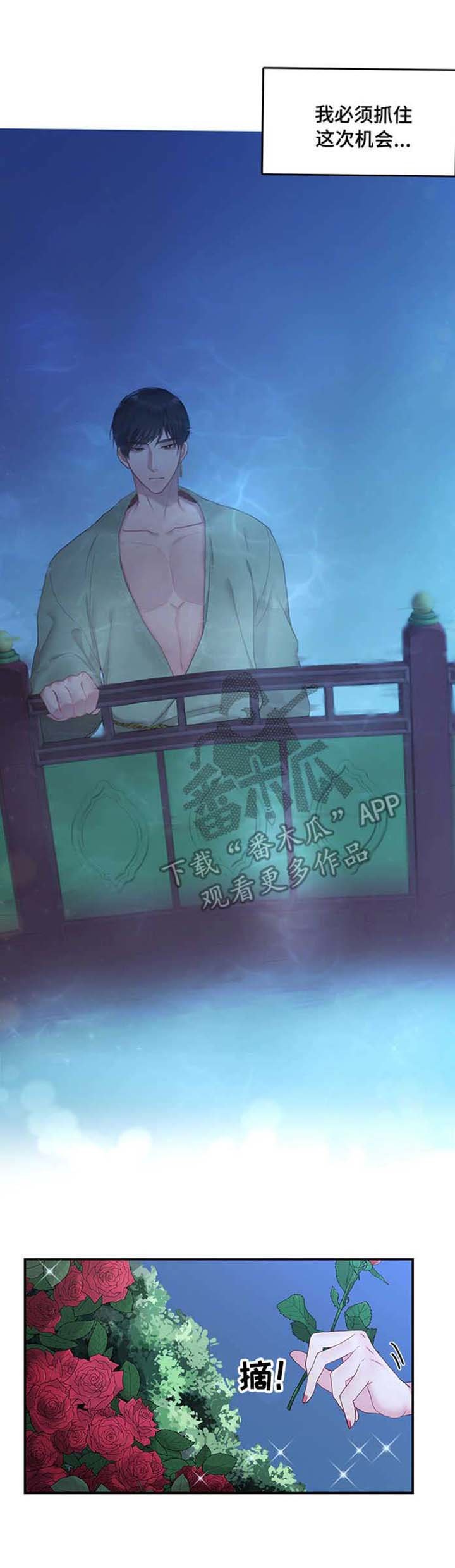 第8章：散步