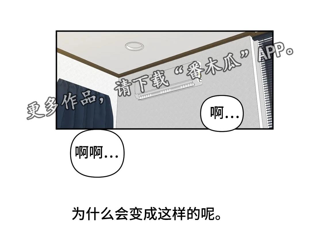 第30章：为什么了