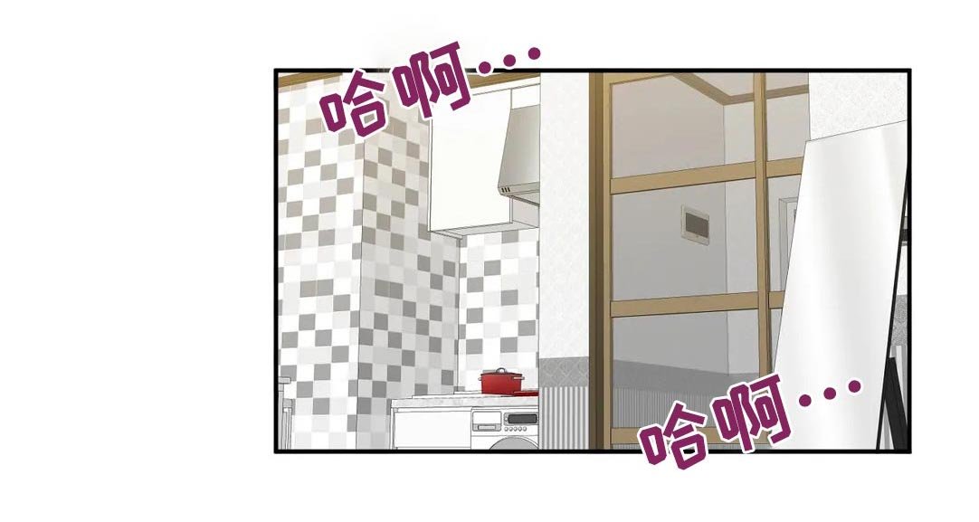 第41章：回忆