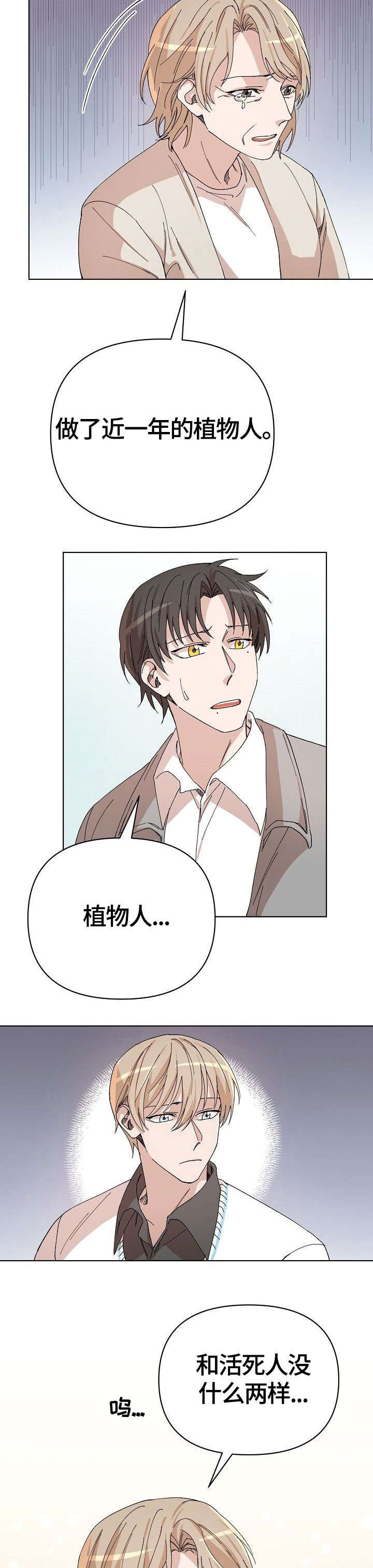 第30章：傻瓜