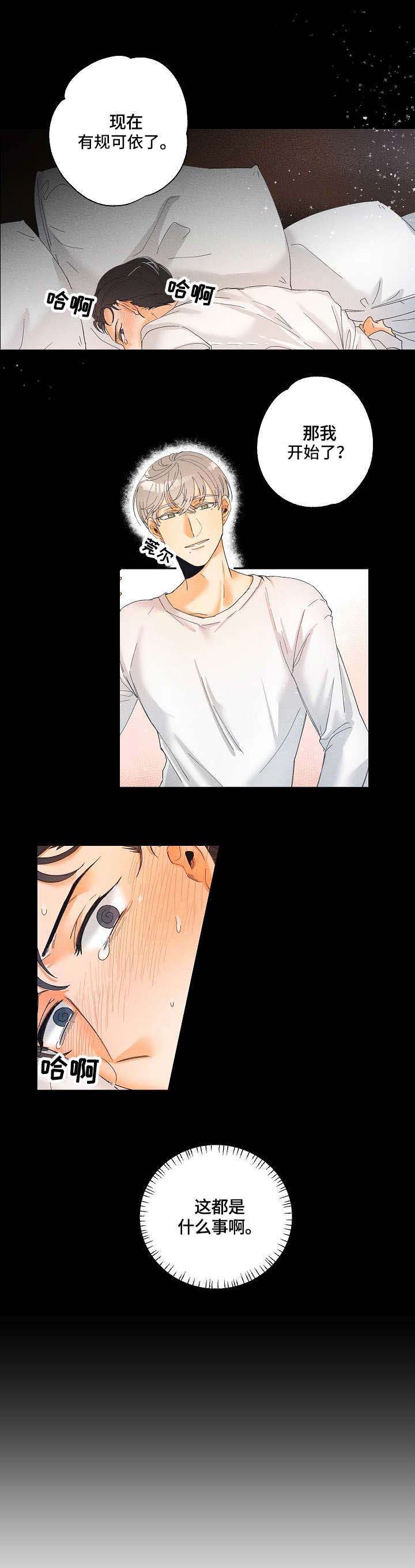 第3章：用途