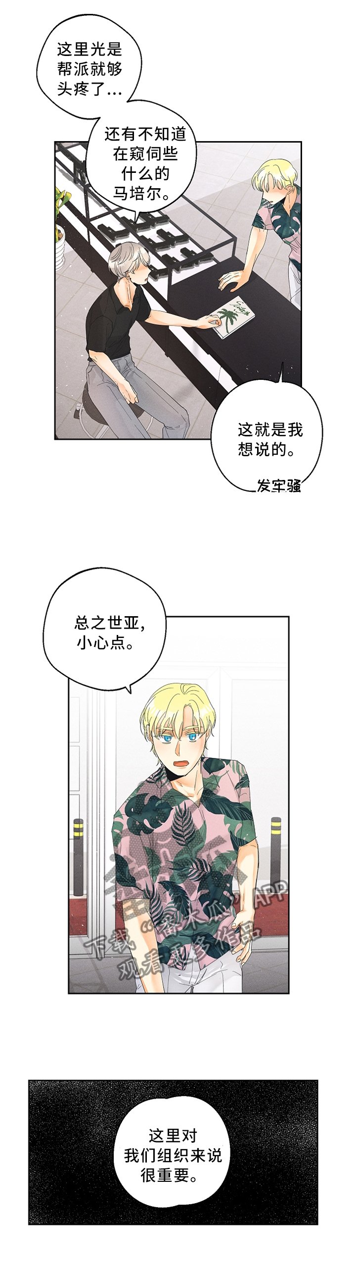 第35章：我从不后悔