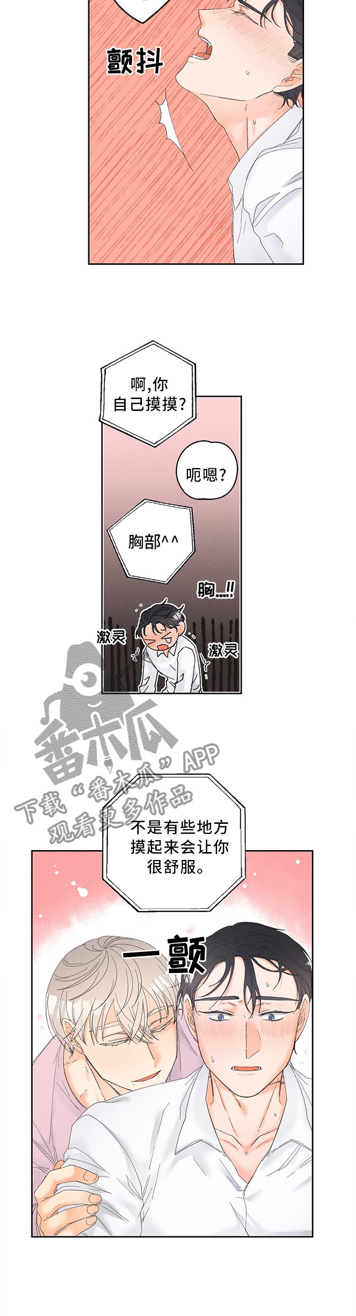 第51章：视频教学