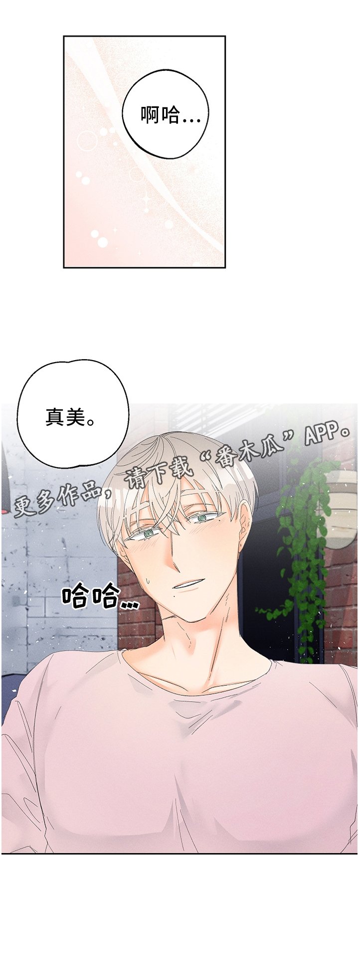 第51章：视频教学