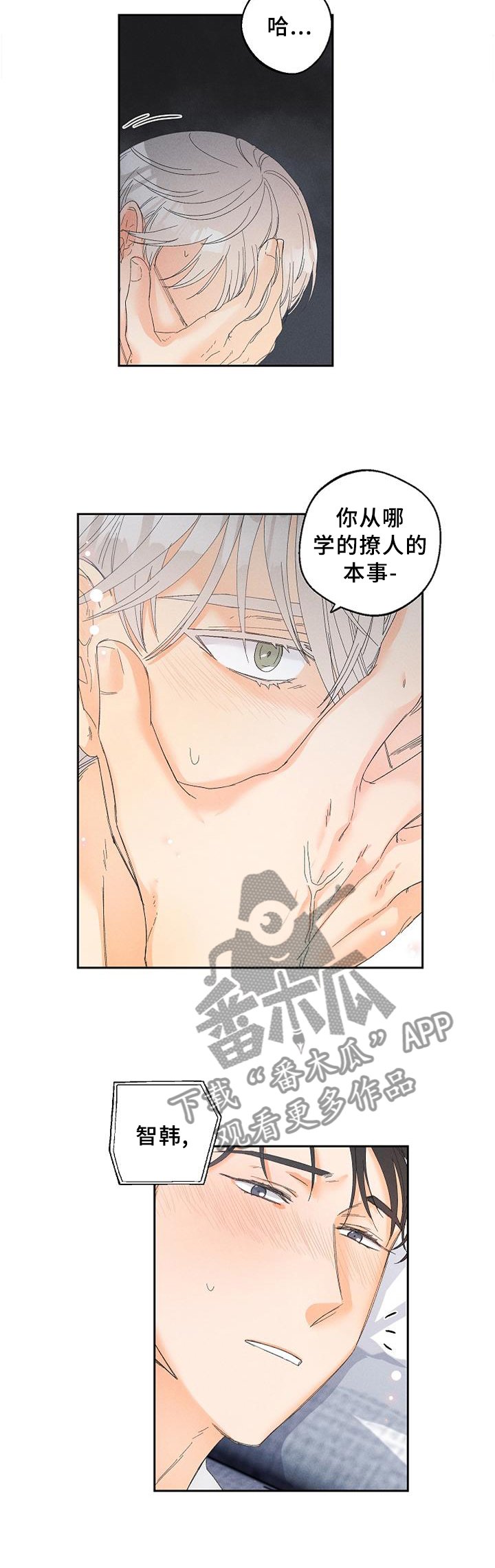 第52章：诚实