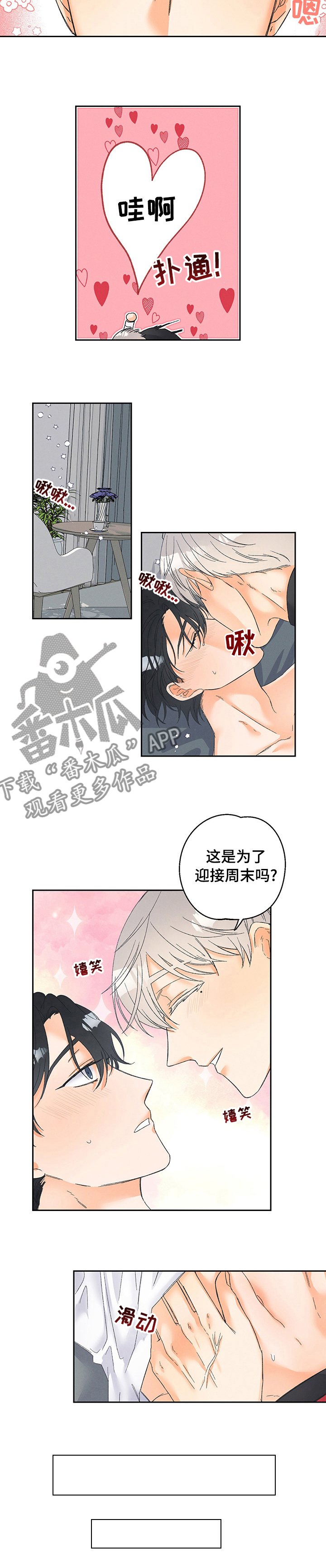 第71章：【番外】下次用什么呢（完结）