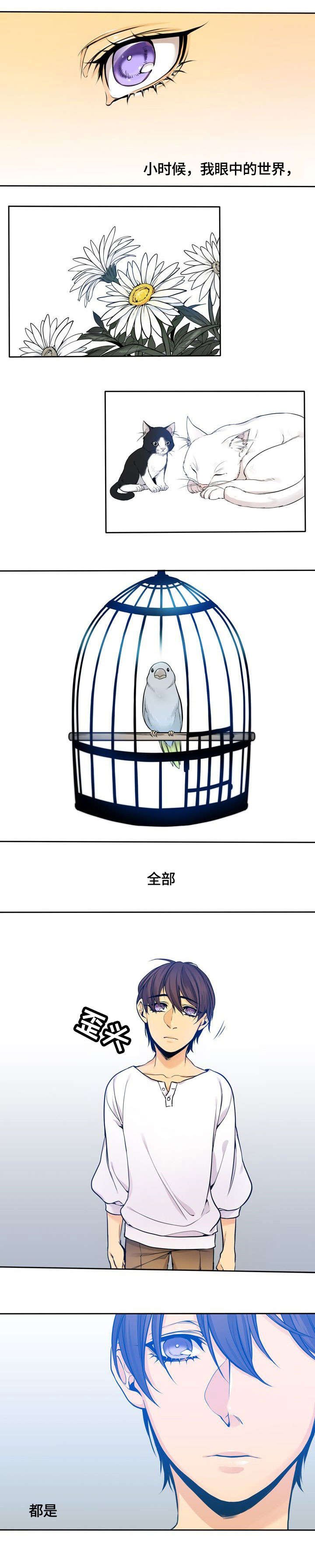第1章：黑白