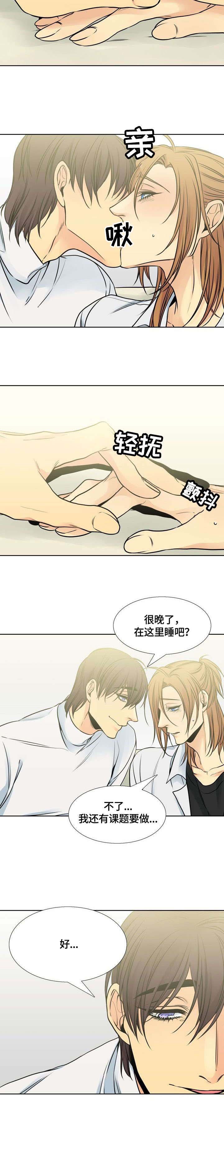 第22章：回避