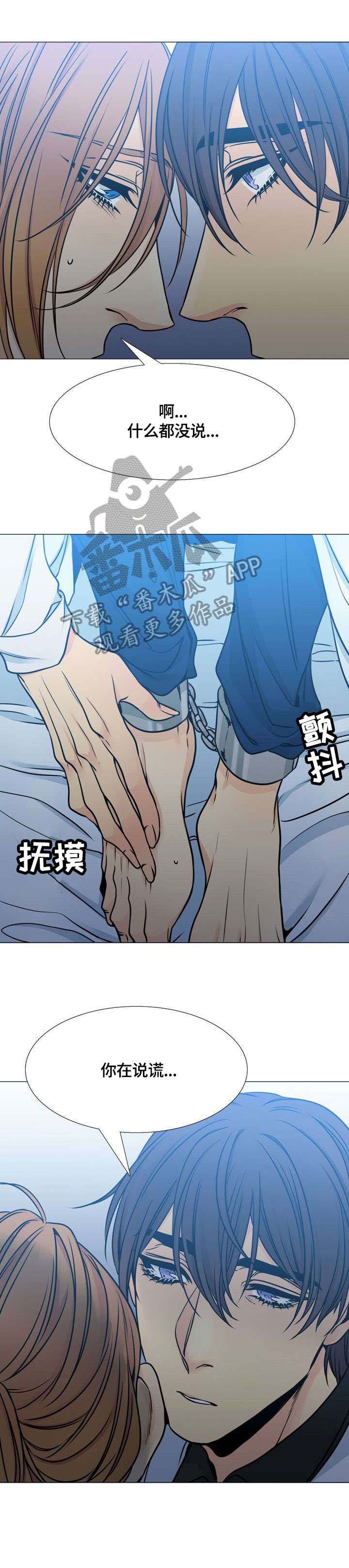 第26章：谎