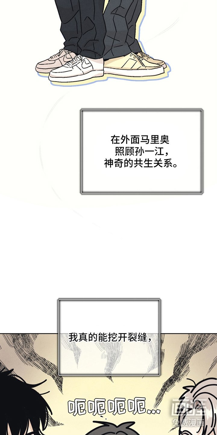 第8章：共生关系
