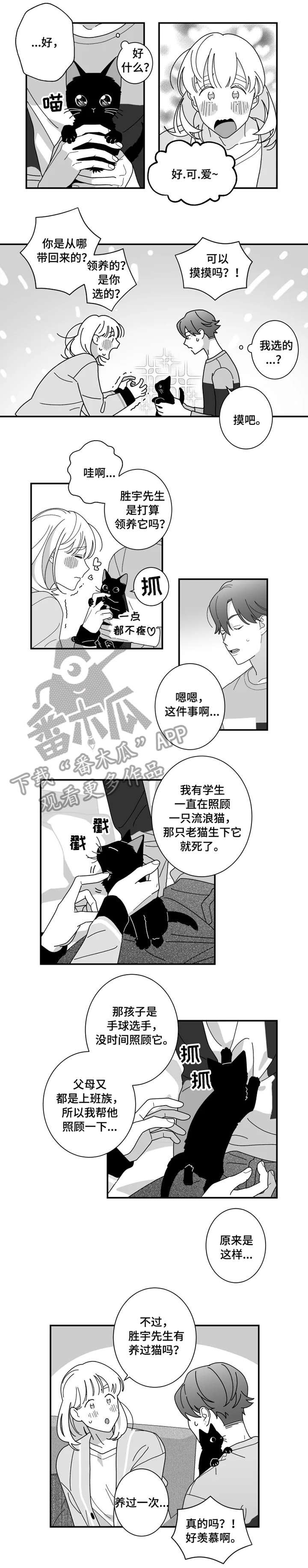第16章：猫咪