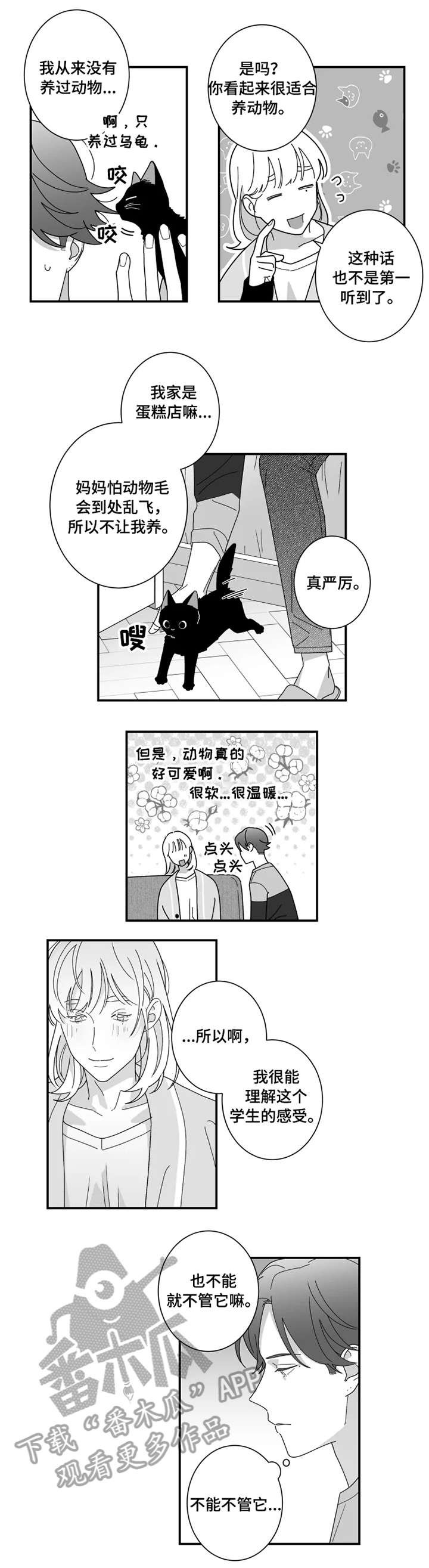第16章：猫咪