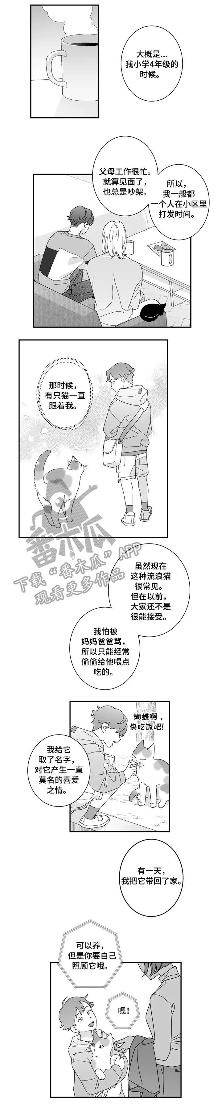 第16章：猫咪